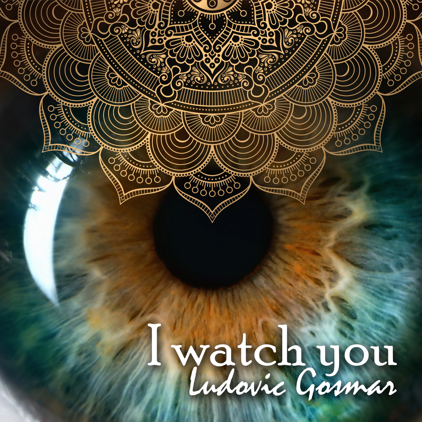 I Watch You